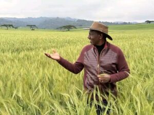 President William Ruto 